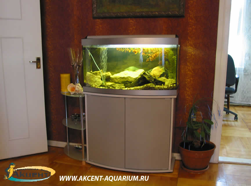 Акцент-аквариум,аквариум 160 литров с гнутым передним стеклом
